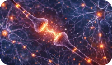 Phytomem One complete brain support formula and natural ingredients